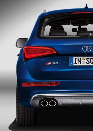 Audi SQ5 TDI 2013 года  (WW)